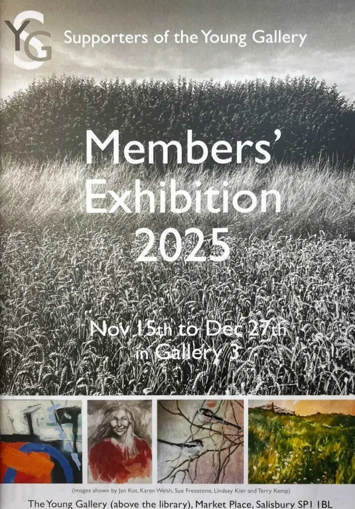 Young Gallery Members Exhibition 2025 Salisbury